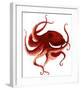 Giant Pacific Octopus - Red-Jeannine Saylor-Framed Art Print