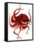 Giant Pacific Octopus - Red-Jeannine Saylor-Framed Stretched Canvas