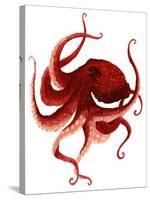 Giant Pacific Octopus - Red-Jeannine Saylor-Stretched Canvas