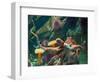 Giant Pacific Octopus-pr2is-Framed Photographic Print