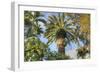 Giant Palm-Robert Goldwitz-Framed Giclee Print