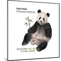 Giant Panda (Ailuropoda Melanoleuca), Mammals-Encyclopaedia Britannica-Mounted Poster