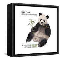 Giant Panda (Ailuropoda Melanoleuca), Mammals-Encyclopaedia Britannica-Framed Stretched Canvas