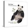 Giant Panda (Ailuropoda Melanoleuca), Mammals-Encyclopaedia Britannica-Stretched Canvas