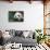 Giant Panda by Bamboo Plant-DLILLC-Stretched Canvas displayed on a wall