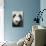 Giant Panda, Chengdu, China-Paul Souders-Photographic Print displayed on a wall