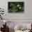 Giant Panda Climbing Tree-DLILLC-Stretched Canvas displayed on a wall