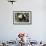 Giant Panda Cub, Chengdu, China-Paul Souders-Framed Photographic Print displayed on a wall