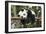 Giant Panda Cub, Chengdu, China-Paul Souders-Framed Photographic Print