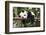 Giant Panda Cub, Chengdu, China-Paul Souders-Framed Photographic Print