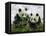 Giant Panda Cubs in Snowfall-Keren Su-Framed Stretched Canvas