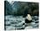 Giant Panda Eating Bamboo by the River, Wolong Panda Reserve, Sichuan, China-Keren Su-Stretched Canvas