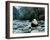 Giant Panda Eating Bamboo by the River, Wolong Panda Reserve, Sichuan, China-Keren Su-Framed Premium Photographic Print