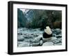 Giant Panda Eating Bamboo by the River, Wolong Panda Reserve, Sichuan, China-Keren Su-Framed Premium Photographic Print