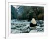 Giant Panda Eating Bamboo by the River, Wolong Panda Reserve, Sichuan, China-Keren Su-Framed Premium Photographic Print