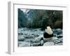 Giant Panda Eating Bamboo by the River, Wolong Panda Reserve, Sichuan, China-Keren Su-Framed Photographic Print