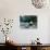 Giant Panda Eating Bamboo by the River, Wolong Panda Reserve, Sichuan, China-Keren Su-Photographic Print displayed on a wall