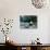 Giant Panda Eating Bamboo by the River, Wolong Panda Reserve, Sichuan, China-Keren Su-Mounted Photographic Print displayed on a wall