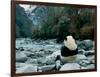 Giant Panda Eating Bamboo by the River, Wolong Panda Reserve, Sichuan, China-Keren Su-Framed Photographic Print