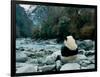 Giant Panda Eating Bamboo by the River, Wolong Panda Reserve, Sichuan, China-Keren Su-Framed Photographic Print