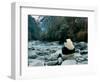 Giant Panda Eating Bamboo by the River, Wolong Panda Reserve, Sichuan, China-Keren Su-Framed Photographic Print