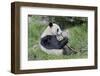 Giant Panda Eating Bamboo Shoots-Richard Harbus-Framed Photographic Print