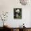 Giant Panda, Eating Bamboo-Eric Baccega-Photographic Print displayed on a wall