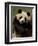 Giant Panda Family, Wolong China Conservation and Research Center for the Giant Panda, China-Pete Oxford-Framed Photographic Print