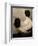 Giant Panda Family, Wolong China Conservation and Research Center for the Giant Panda, China-Pete Oxford-Framed Photographic Print