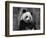 Giant Panda Feeding, Qionglai Mtns, Sichuan, China-Lynn M. Stone-Framed Premium Photographic Print