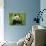 Giant Panda Feeding, Qionglai Mtns, Sichuan, China-Lynn M. Stone-Photographic Print displayed on a wall