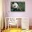 Giant Panda in the Forest-DLILLC-Stretched Canvas displayed on a wall