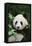 Giant Panda in the Forest-DLILLC-Framed Stretched Canvas