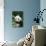 Giant Panda in the Forest-DLILLC-Photographic Print displayed on a wall