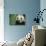 Giant Panda in the Forest-DLILLC-Photographic Print displayed on a wall