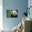 Giant Panda in the Forest-DLILLC-Mounted Photographic Print displayed on a wall