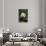 Giant Panda in the Forest-DLILLC-Photographic Print displayed on a wall
