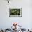 Giant Panda in the Forest-DLILLC-Framed Photographic Print displayed on a wall
