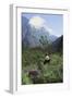 Giant Panda in the Forest-DLILLC-Framed Photographic Print