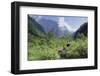 Giant Panda in the Forest-DLILLC-Framed Photographic Print