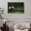 Giant Panda in the Forest-DLILLC-Photographic Print displayed on a wall