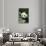 Giant Panda in the Forest-DLILLC-Stretched Canvas displayed on a wall