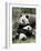 Giant Panda, Mother and Baby-Eric Baccega-Framed Art Print