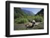 Giant Panda Relaxing-DLILLC-Framed Photographic Print