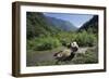 Giant Panda Relaxing-DLILLC-Framed Photographic Print