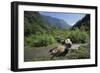 Giant Panda Relaxing-DLILLC-Framed Photographic Print