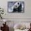 Giant Panda Sitting in Snow-DLILLC-Framed Stretched Canvas displayed on a wall