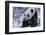Giant Panda Sitting in Snow-DLILLC-Framed Photographic Print