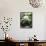 Giant Panda-GoodOlga-Framed Stretched Canvas displayed on a wall