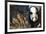 Giant Panda-Orhan-Framed Photographic Print